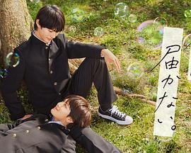 优惠的外贸网站优化方法